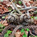 Critical Tips for First Time Hunters