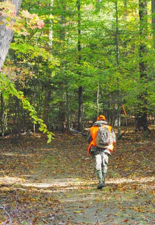Hunting Tips for Novice Hunters