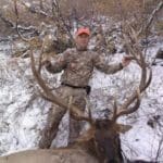 Utah bull elk – Hunting Magazine