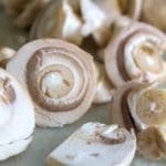 Wild Game Recipes: The use of Fresh Vegetables is key to great food