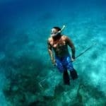 Spearfishing Diver with Pole Spear