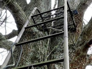 Tree Stand