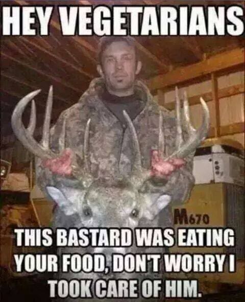 Vegetarians - I Shot Him