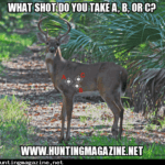 Shoot the deer – Deer Hunting Shot Placement Meme