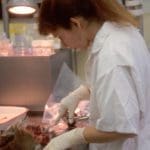 Lab testing of a deer for CWD