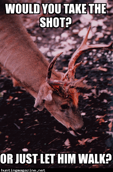 Old White-tail Buck Meme