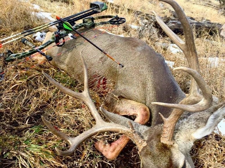 Shot Placement on White-tail Deer Buck Shot Placement on White-tail Deer Buck