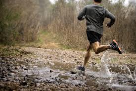 Running the Trail