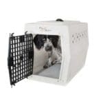 Pictured: Ruff Tough Kennel (available at HuntEmUp.com)