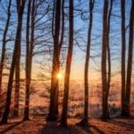 The easement from the Lyme Timber Company will use funding from the Knowles Nelson Stewardship Program. Much of the easement area is classified as pine barrens