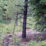 Practicing from your treestand in the off-season is a great idea to help perfect your shooting form.