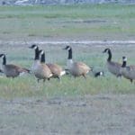 [imagefiz.com]-4655102237_7