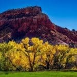 new-mexico-1804590_1280