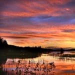 The Texas sun setting over one of the various fishing ponds at the Lazy J Ranch – Hunting Magazine