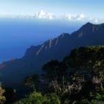 Hunting Hawaii’s mountains offers hunters a hunting experience of a lifetime | Hunting Magazine