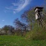 How to Choose a Crossbow for Hunting