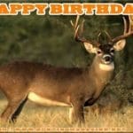 Meme: Happy Birthday from the HuntingMagazine.net