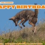 Varmint Hunting Meme: Happy Birthday from Hunting Magazine