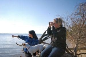 Quality Binoculars For Birdwatching