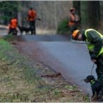 Hunting Wild Boar in Lomensko