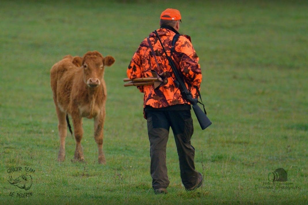 Photo Essay: The Wild Pig Hunt