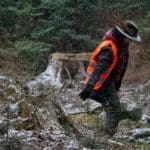 Hunting Wild Boar in Lomensko