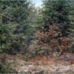 Hunting Wild Boar in Lomensko