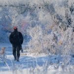 VelkyGrob_Slovakia_hunting_4-800