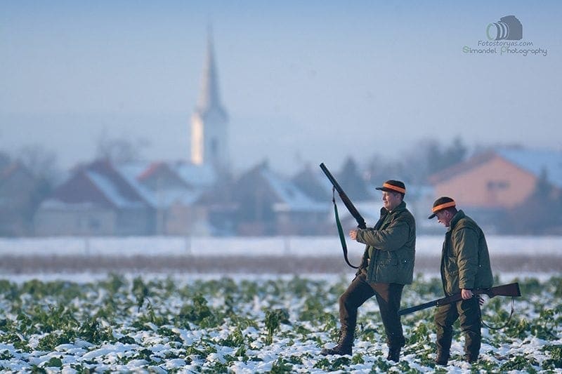 Hunting in The Snow in The Heart of Europe (Slovakia –Veľký Grob)