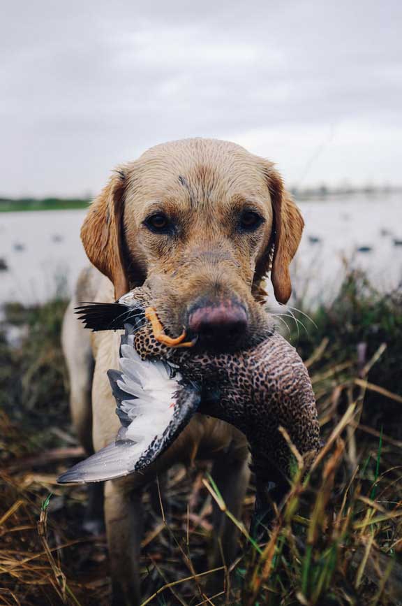 ReelTrail | Buying & Selling Outdoor Gear Online