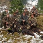 Hunting Chamois On The Roof Of The Mountains