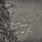 Hunting Chamois On The Roof Of The Mountains