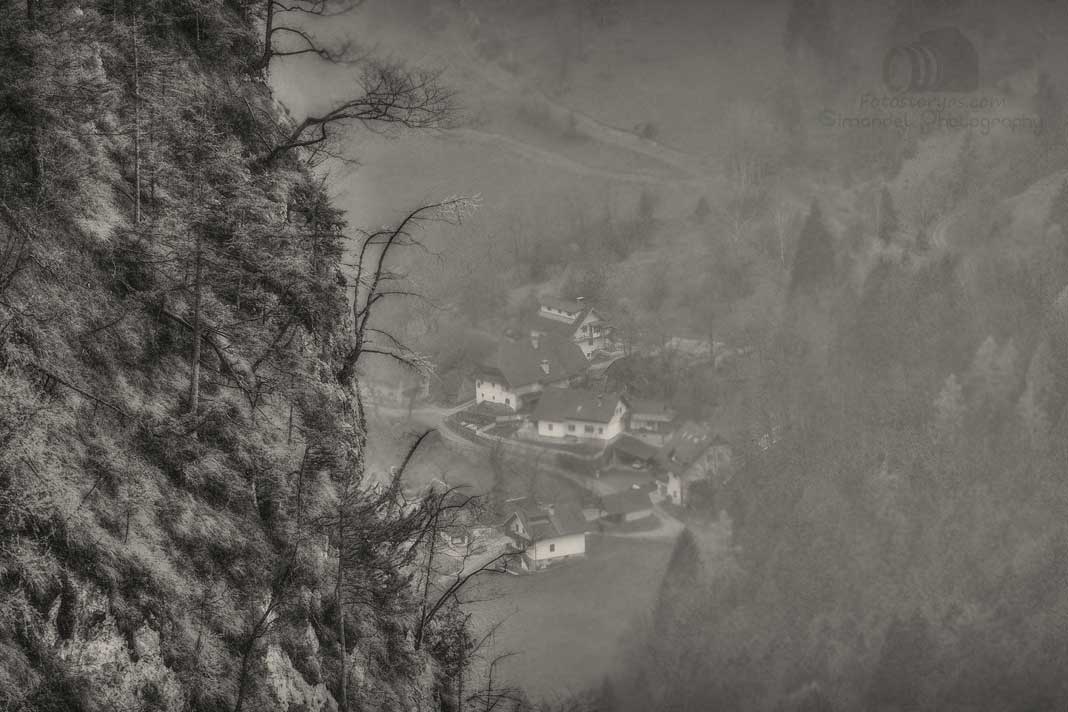 Hunting Chamois On The Roof Of The Mountains