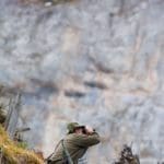 Hunting Chamois