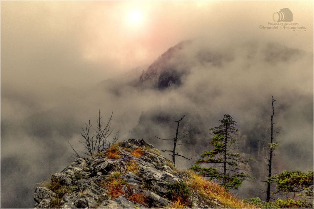 Hunting Chamois On The Roof Of The Mountains
