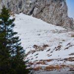 Hunting Chamois On The Roof Of The Mountains