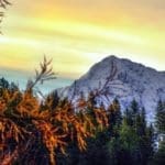 Hunting Chamois On The Roof Of The Mountains