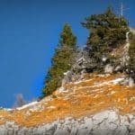 Hunting Chamois On The Roof Of The Mountains