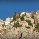 Hunting Chamois On The Roof Of The Mountains