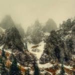 Hunting Chamois On The Roof Of The Mountains