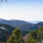 Hunting Chamois On The Roof Of The Mountains
