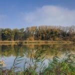 Duck Hunting Trip in