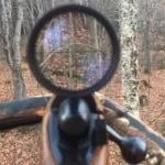A hunting photo taken right from the deer hunting stand in Bridgewater, Maine during the November Deer Hunting Firearms Season of 2017.
