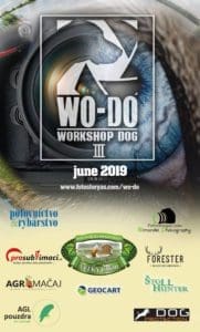 Hunting day in Slovakia