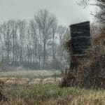 Hunting day in Slovakia