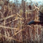 Hunting day in Slovakia