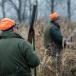 Hunting day in Slovakia