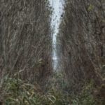 Hunting day in Slovakia