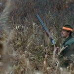 Hunting day in Slovakia