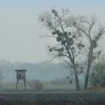 Hunting day in Slovakia